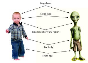 Neoteny as an alien ideal